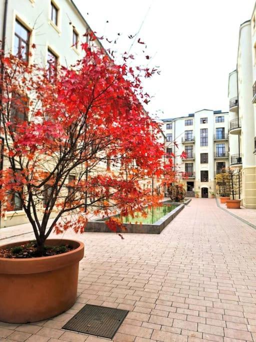 Gold City Point Piotrkowska 37 Λοτζ Εξωτερικό φωτογραφία